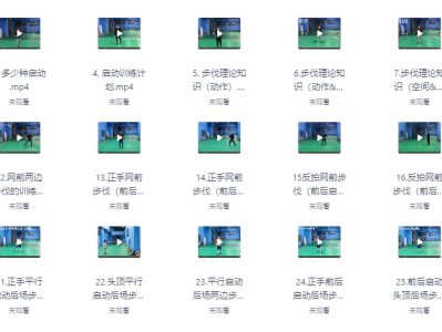 业界公认最强的羽毛球教学，李宇轩亲自指导，从步伐到杀球一气呵成！