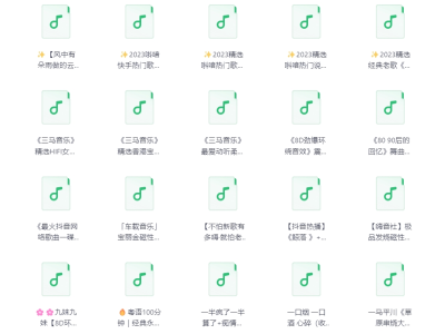 DJ《1309首热门车载DJ合集》[MP3][184G]